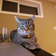 Image for article titled Panasonic Lumix DMC-GH1 Review: A $1500 Misfit